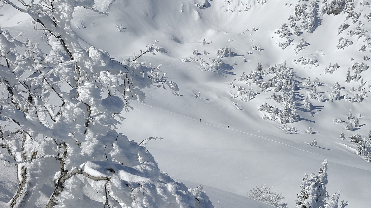 130216-113007.jpg - Traversée en direction du col de la Sure