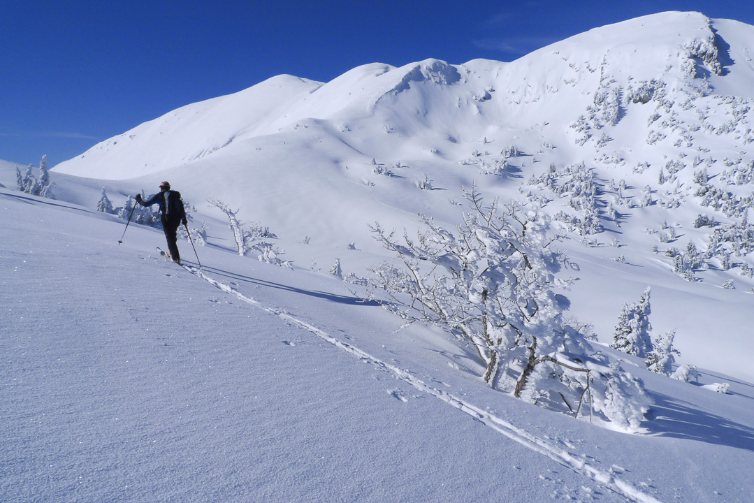130216-113017.jpg - Traversée sur le col de la Sure