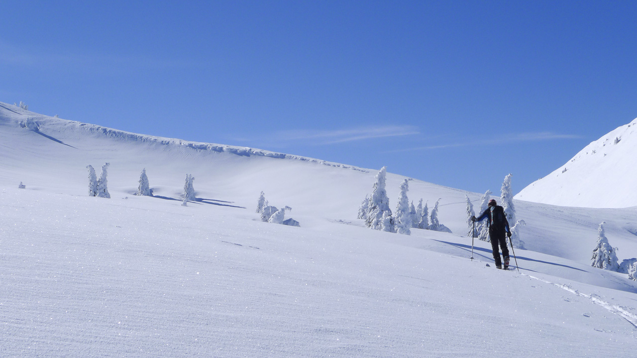 130216-113032.jpg - Traversée sur le col de la Sure