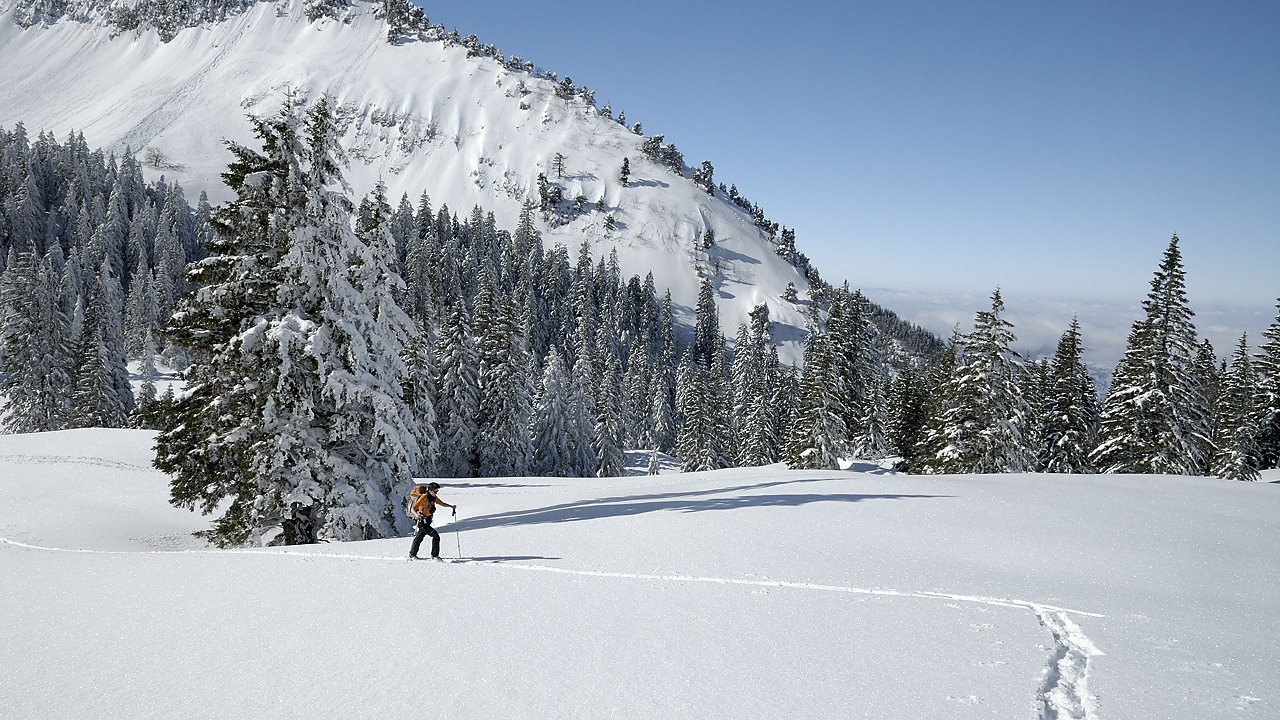 130216-140728.jpg - Remontée au col de la Charmille