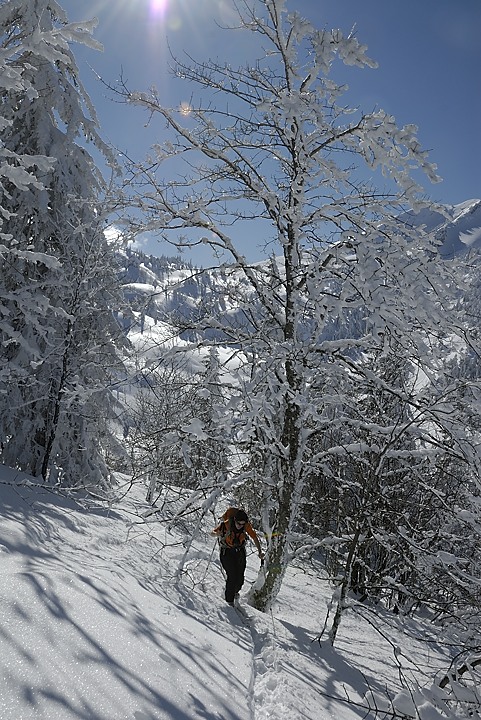 130216-141245.jpg - Remontée au col de la Charmille