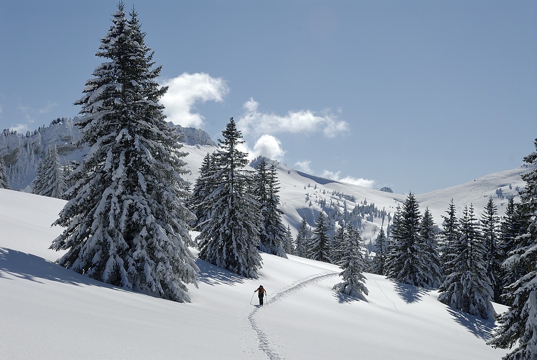 130216-143055.jpg - Remontée au col de la Charmille