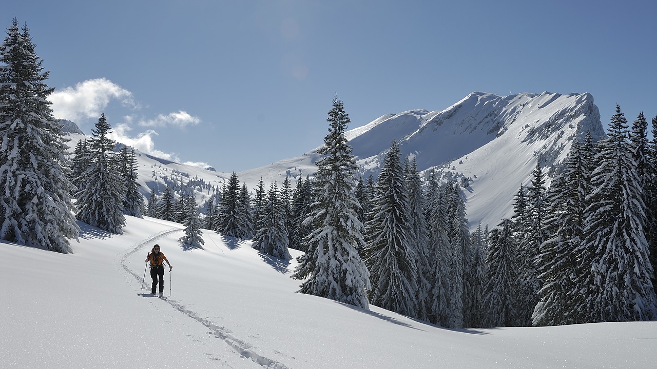 130216-143151.jpg - Remontée au col de la Charmille