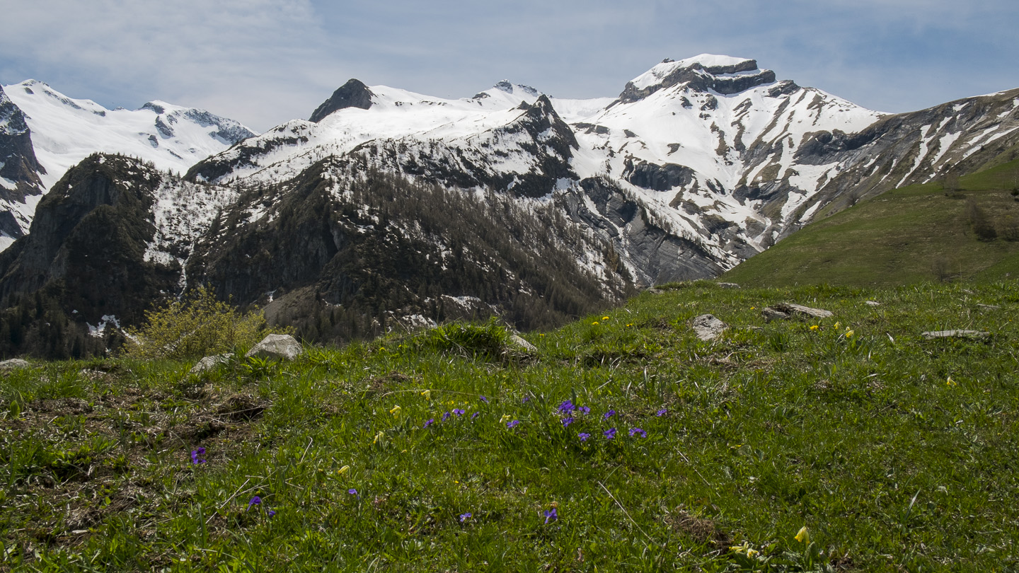 140508-135304.jpg - Rochail, Grand Renaud