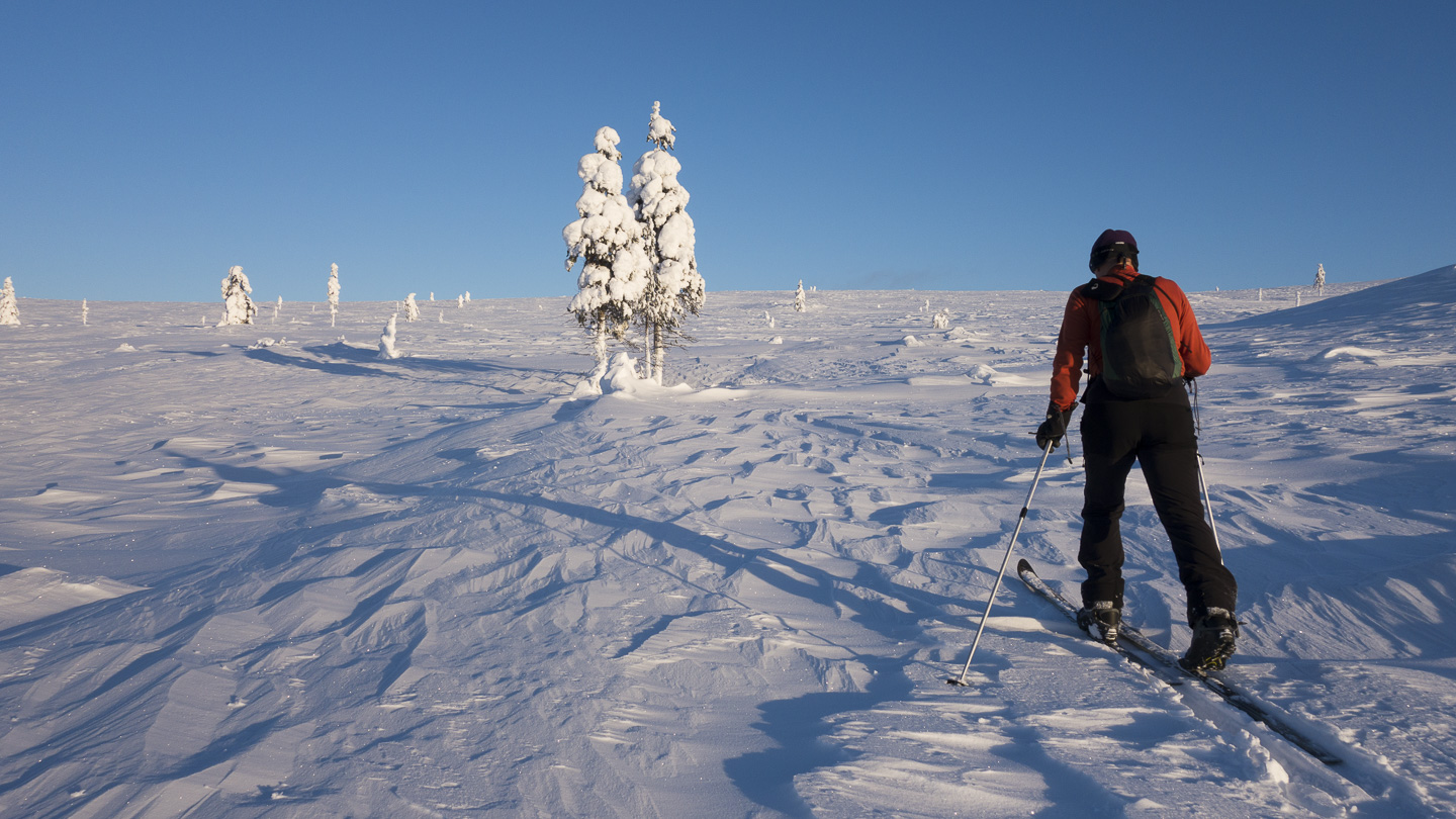 150208-140900.jpg - Mise en jambes sur les pistes de fond de Saariselka