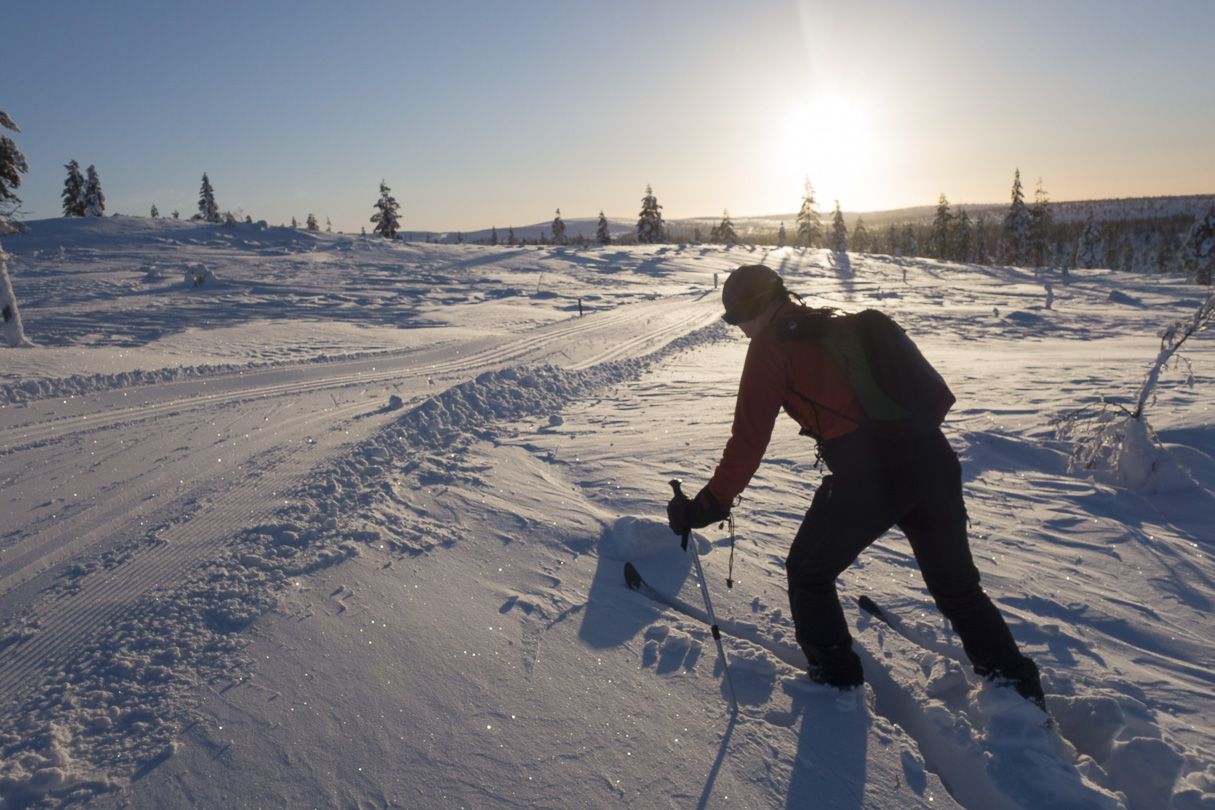 150208-141158.jpg - Mise en jambes sur les pistes de fond de Saariselka