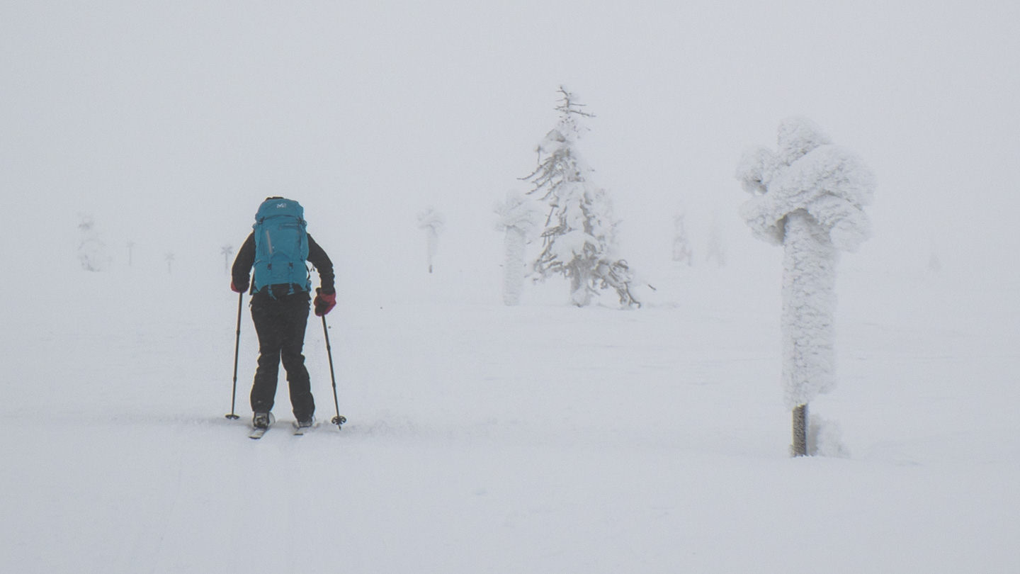 150209-120837.jpg - Près des pistes, c'est encore balisé