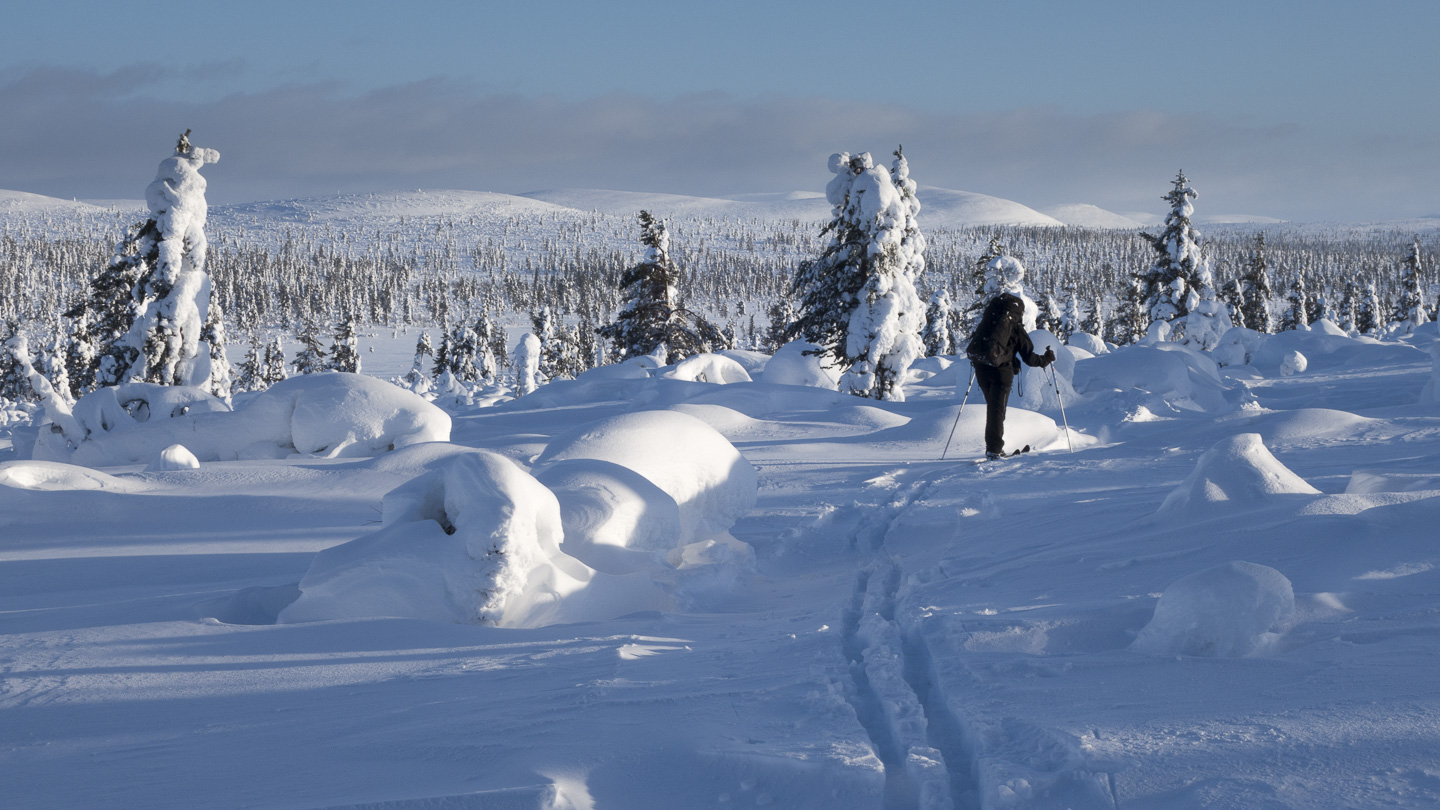 150210-120821.jpg - Une des plus belles étapes du parcours